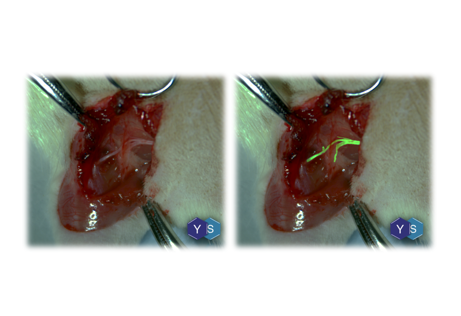 PRECISION MEDICINE PLATFORM